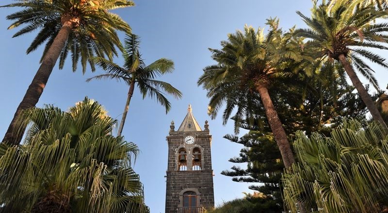 Le clocher du couvent San Agustin et la végétation dans la ville coloniale de San Cristobal de la Laguna
