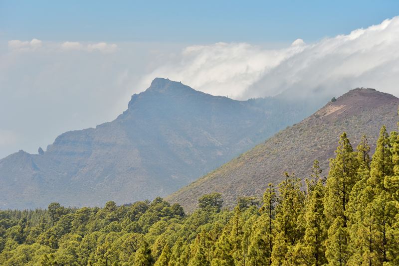 Volcans, nuages et forêts dans le parc national du Teide