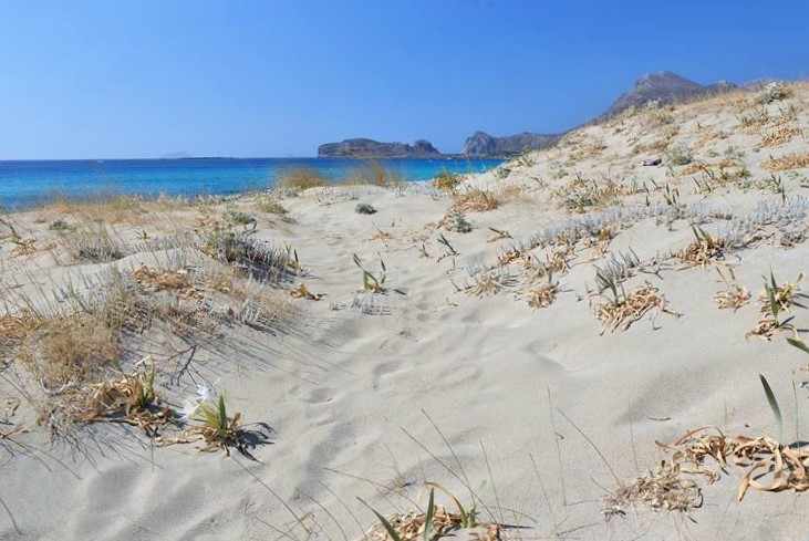 Dunes de sable à côté de la plage de Falassarna (Crète)
