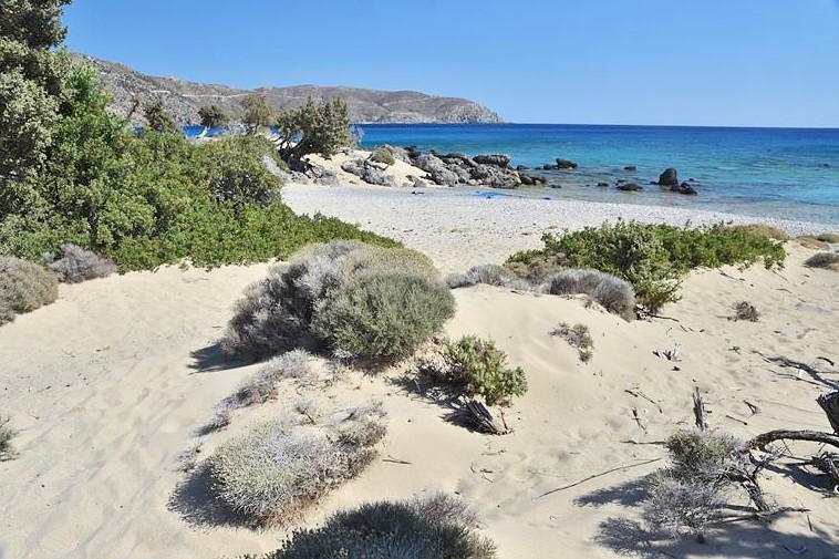 Petite plage de sable blanc déserte dans la zone de Kedrodasos, qui donne sur la mer turquoise et translucide