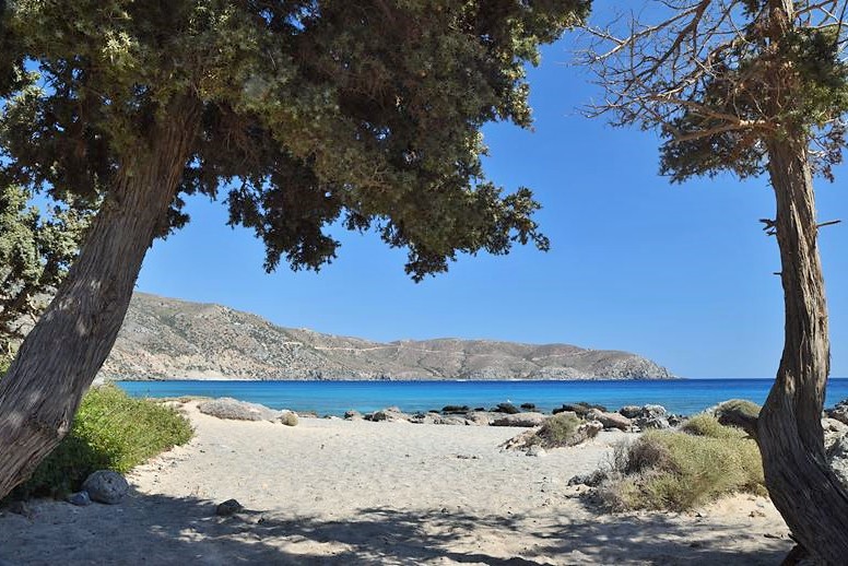 Arrivée à la plage sauvage et isolée de Kedrodasos (Crète), bordée de genévriers et qui donne sur la mer turquoise et translucide.