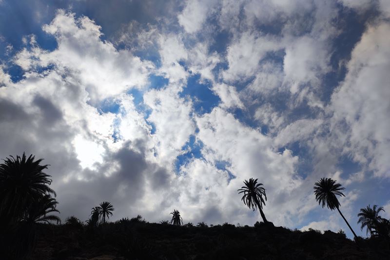 Les palmiers dattiers sous un ciel nuageux spectaculaire dominent la Playa de Castro