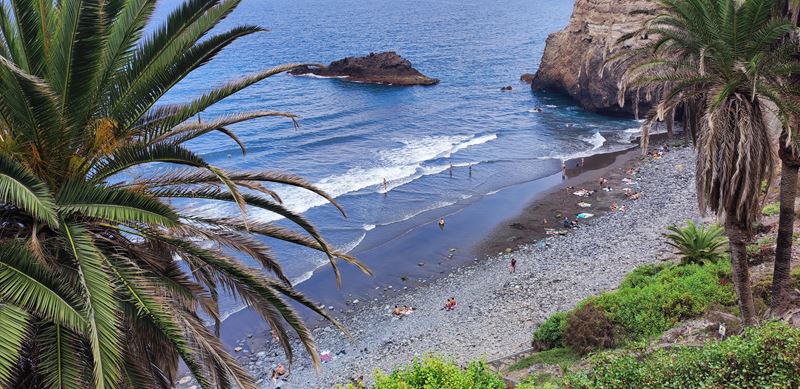 Vue aérienne sur la Playa de Castro et ses palmiers dattiers