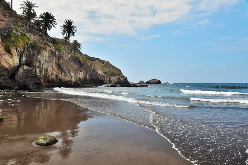La Playa de Castro, son sable volcanique noir, les vagues de l'océan, la falaise et les palmiers dattiers
