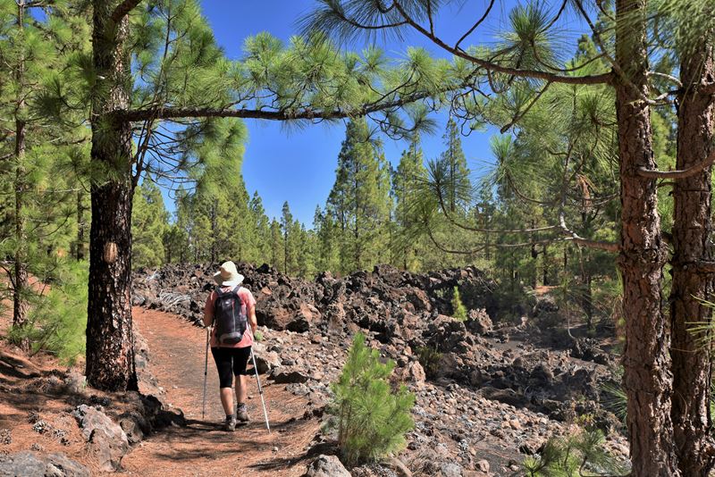 Randonneuse au milieu des roches volcaniques dans la forêt de pins, pendant la randonnée entre San Jose de Los Llanos et le volcan Chinyero