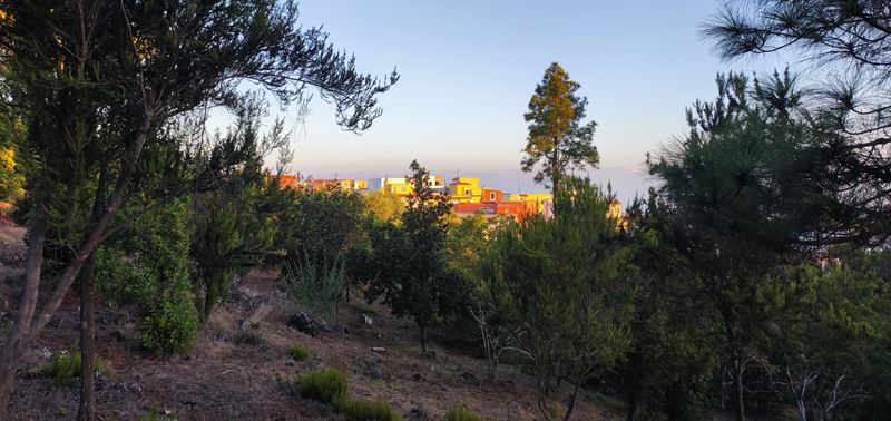 Le petit village de San Jose de Los Llanos éclairé par la lumière chaude du soleil levant, vu depuis la forêt de pins