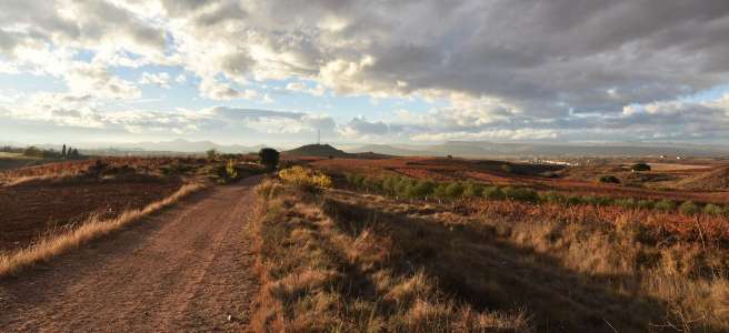 Chemins de Compostelle éclairés par le soleil couchant Espagne Nature