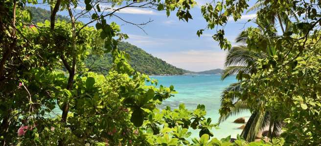 Îles Perhentian Malaisie végétation verte mer turquoise